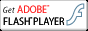 ADOBE FLASH PLAYER